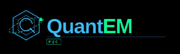 QuantEM IT LLC